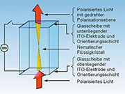 Bild 4: Die Schadt-Helfrich-Zelle ist die Urform aller LCDs. Im spannungslosen Zustand sind die Flüssigkristalle schraubenförmig zwischen ihren Vorzugslagen an den Orientierungsschichten ausgerichtet.