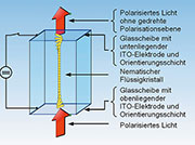 Bild 5: Liegt an den Elektroden der Schadt-Helfrich-Zelle eine Spannung an, orientieren sich die Kristalle in Richtung des dadurch hervorgerufenen elektrischen Feldes.